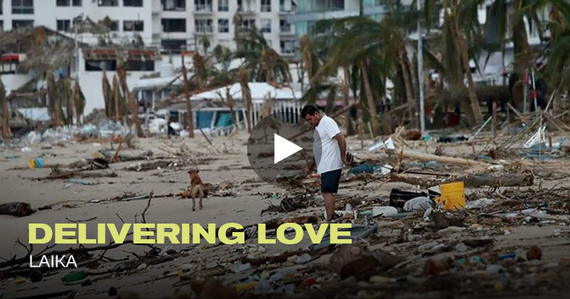 Figallo Laika · Agencia de Publicidad en México