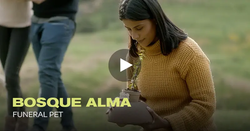 Figallo Funearl Pet Bosque Alma · Agencia de Publicidad en México